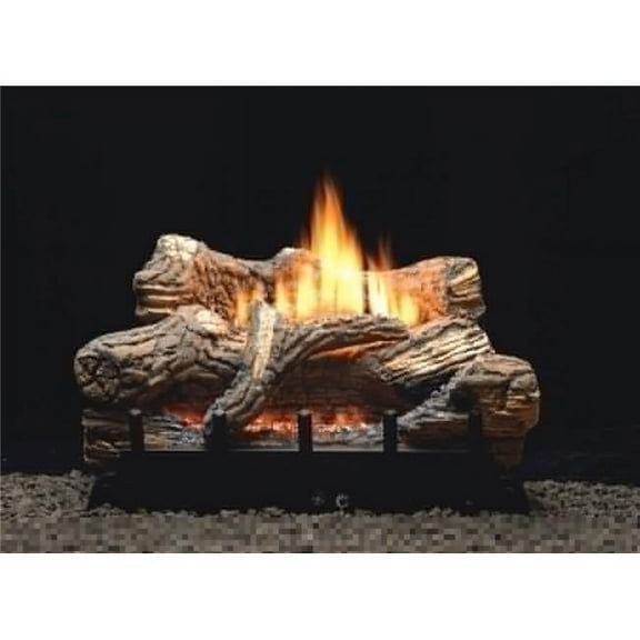 Empire VFDR24LBP 24 in. Ceramic Fiber Propane Millivolt Fireplace - 5 Piece