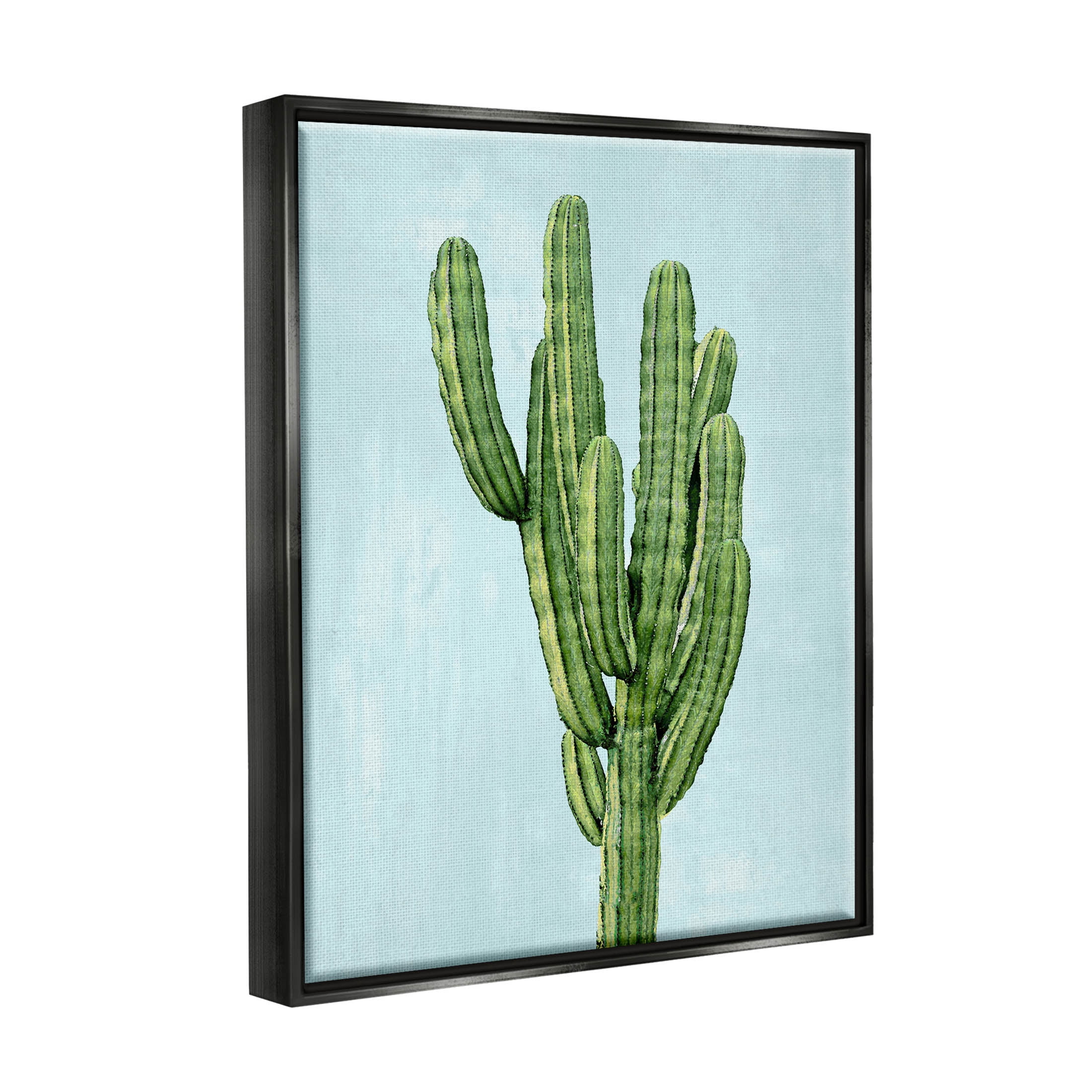 Desert Cactus Blue Sky Botanical & Floral Graphic Art Jet Black Framed Art Print Wall Art