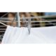 thumbnail image 4 of Wham - Pinzas para la Ropa de Suave al Tacto - Pack de 20 (Multicolor), 4 of 4