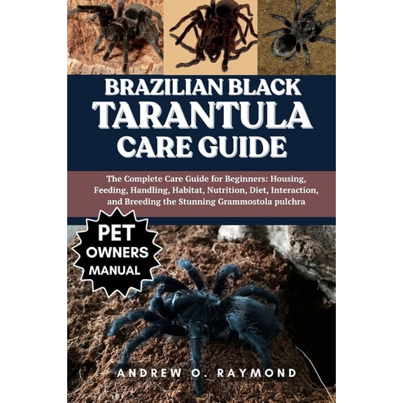 The Ultimate Pigeon Care Bible for Beginners: A Complete Step-by-Step ...