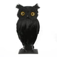 thumbnail image 2 of National Tree Company 11" Eerie Eyes Owl, 2 of 4