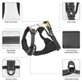 thumbnail image 6 of Lsque Cartoon Monkey Dog Harness, No-Pull Pet Harness with 2 Leash Clips, Adjustable Soft Padded Dog Vest with Easy Control Handle for Large Dogs-, 6 of 9