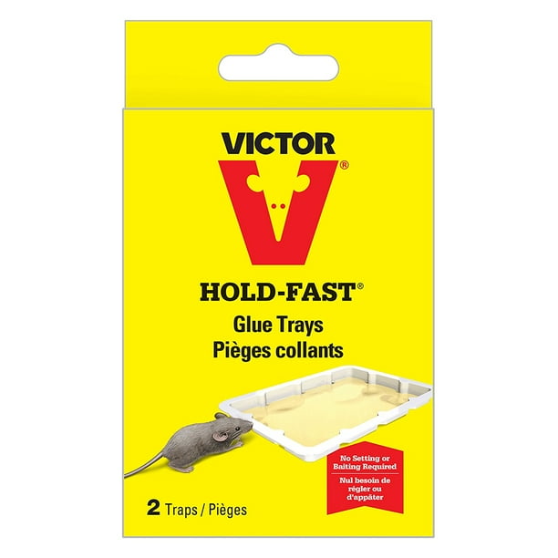 Victor Mouse Glue Tray M172 Sticky Trap