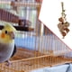 thumbnail image 1 of Juguetes para loros, juego de juguetes para hámster, jaula con cuerda colgante, perca, conejillos de indias, juguete para hámster, juguete para morder Tuerca, 1 of 8