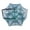12 holes, variant on PASILI Self-Folding Fishing Trap Net Fish Bait Trap For Fishing Crayfish Crab Nets Trap Catching Crabs Lobsters Fish Shrimp Nylon