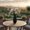 Black, variant on Zellè Ceramic Round Bellied Bottle Vase with Shoulder Bump Design