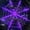 Purple, variant on Innens 11.8ft Halloween 144 LED Purple Spider Web Lights with 35" Giant Spider Light up Cobweb Halloween Decorations for Indoor Ourdoor Garden Yard Home Patio (Black, 1Pc)