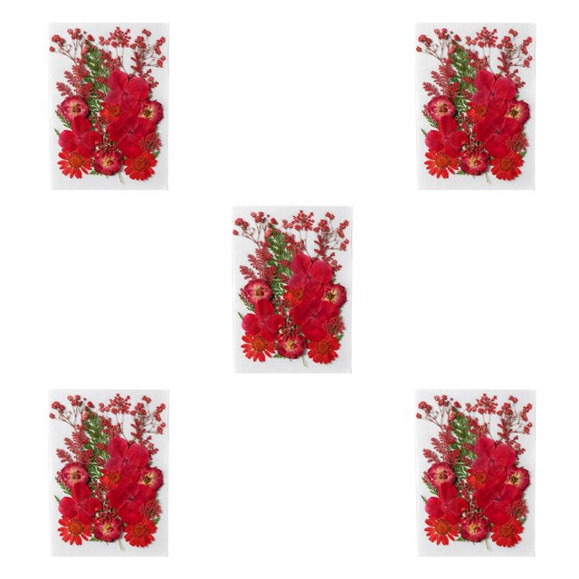 Monstrate Flores secas naturales Artísticas Flores prensadas en relieve DIY Colorido Hermoso adorno Postales para tarjetas de boda Velas de resina Rojo 5piezas Monstrate CBP186880