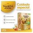 thumbnail image 3 of Jabón Grisi el perro agradecido con Avena 100 g, 3 of 4