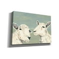 thumbnail image 2 of Epic Graffiti 'Bashful Sheep I' by Jade Reynolds, Canvas Wall Art, 26"x18", 2 of 2