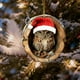 thumbnail image 1 of Adornos Navideños de Animales, Colgantes Planos de Acrílico Impresos En 2D | Adornos para Árbol de Navidad con Búho y Mapache | Adornos Colgantes Duraderos con Cuerda | Decoración Navideña para Árbol, 1 of 5