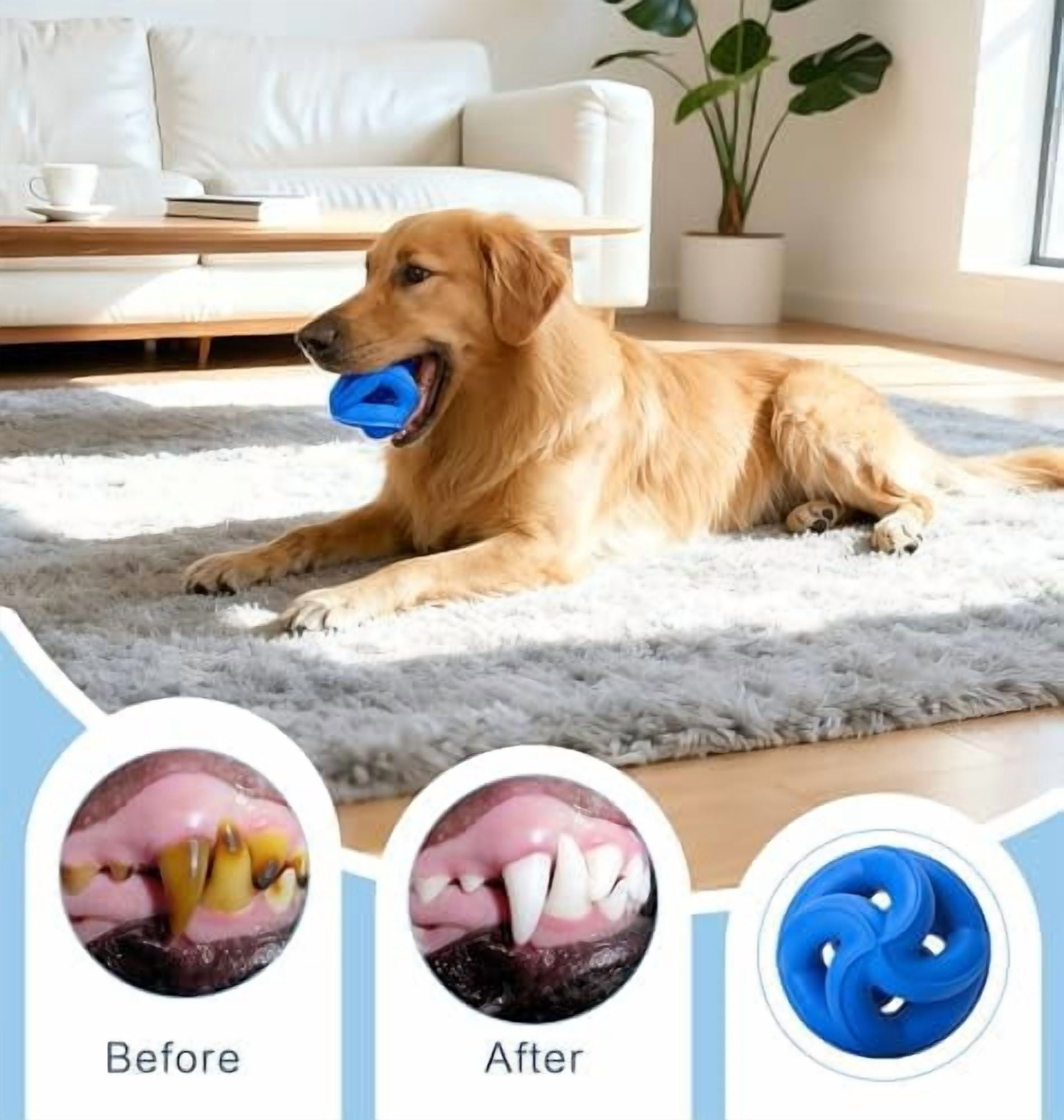 Natural Rubber Indestructible Dog Toys, Durable Dog Chew Toys for Aggressive Chewers - Non-Toxic, Dishwasher Safe, Interactive Dog Toys for Medium Large Breed Dogs, Fetch Training, Navy