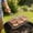 Beige, variant on Lunxisen 2 Pcs Stainless Steel Folding Grill Basket for Camping Portable Fish Net Barbecue Accessories Outdoor Cooking Gear