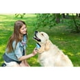 thumbnail image 6 of Pets First Self Cleaning Slicker Brush Retractable Design for Quick F ur Removal, 6 of 6
