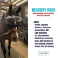 thumbnail image 5 of Horse Medical and Preventative Clear UV Recovery Vizor (Size Horse/Full) - Uveitis, Cataracts, Corneal Ulcers, Infections, Blindness, Visor, 5 of 6