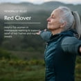 thumbnail image 3 of Vitanica Red Clover Blossom and Leaf Extract 500mg with 8% Isoflavones, Plus 175mg Blossoms, Menopause Relief Support for Women, 2 Month Supply, Non-GMO, Gluten Free, Vegan Supplement, 60 Capsules, 3 of 7