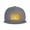 Gray, variant on Flat Bill Snapback Hats for Men Women Gold Coins Amazing Hip Hop Style Plain Baseball Cap Black