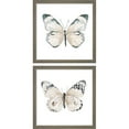 thumbnail image 1 of Great Art Now Steady Wings by Patricia Pinto, 2 Piece Framed Art Set Each 13"W x 13"H, 1 of 3