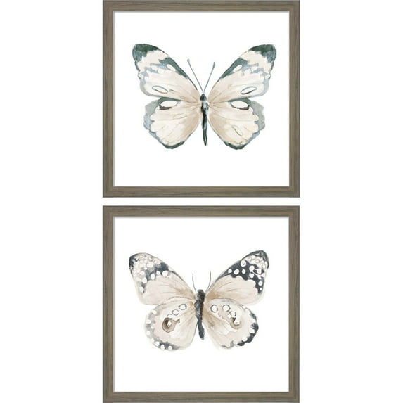 Great Art Now Steady Wings by Patricia Pinto, 2 Piece Framed Art Set Each 13"W x 13"H