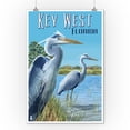 thumbnail image 2 of Key West, Florida, Blue Heron (9x12 Wall Art Print, Home Decor), 2 of 3