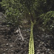 Shrub/Clump Grubber