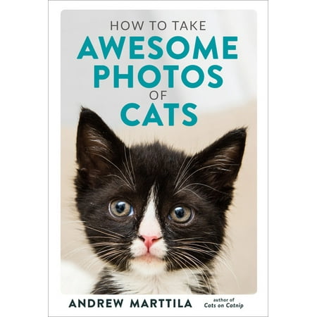 How to Take Awesome Photos of Cats