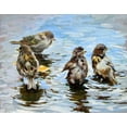 thumbnail image 2 of Pautov, Igor 24x20 Gold Ornate Wood Framed with Double Matting Museum Art Print Titled - Sparrows, 2 of 4