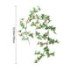 thumbnail image 3 of Viña de guirnaldas de margaritas artificiales | Glicinia decorativa de flor falsa de 72,8" de largo | Decoración floral colgante de plástico para techo, boda, fiesta, hogar | Naranja, Blanco, Rosa, 3 of 6