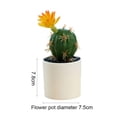 thumbnail image 2 of Macetas de plástico, cactus tropicales artificiales, bonsáis, pequeños adornos creativos, flores artificiales y plantas verdes., 2 of 5