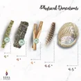 thumbnail image 6 of Sage Smudge Kit | Lavender Smudge Stick, Sweetgrass Braid, 2 Palo Santo Sticks, Abalone Shell, & Feather Smudging Kit for Meditation, Yoga, Reiki, Home Cleansing, 6 of 7