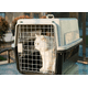 thumbnail image 2 of Transportín Gato Perro Pequeño Transportadora Portátil y Transpirable, Mascotas Accesorios, Transportín de Plástico, Regalo de Hueso de Caucho como Juguete para Perros, 2 of 5