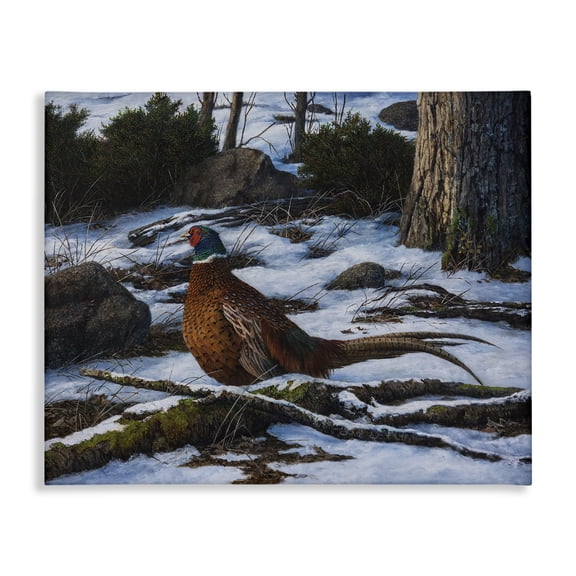 Stupell Industries Farmhouse Pheasant in Snowy Woods Canvas Art, 20 x 16, by Karla Mann