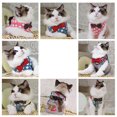 thumbnail image 4 of Flmtop Dog Cat Protective Round Spot H-shape Vest Harness Breathable Pet Walking Leash Blue, 4 of 9