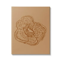 Stupell Industries Detailed Nature Botanical Fungus Graphic Art Gallery Wrapped Canvas Print Wall Art, Design by Ziwei Li