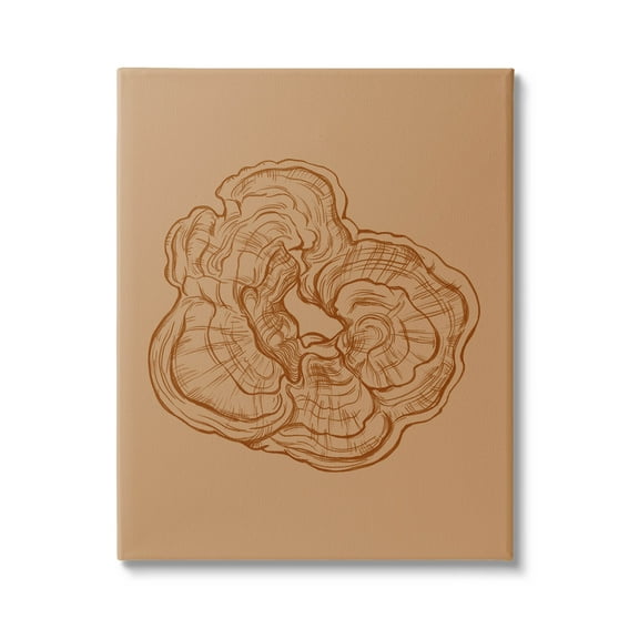 Stupell Industries Detailed Nature Botanical Fungus Graphic Art Gallery Wrapped Canvas Print Wall Art, Design by Ziwei Li