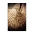 thumbnail image 2 of Gango Home Decor Thai Broom III by Erin Berzel (Printed on Paper); One 24x36in Fine Art Paper Giclee Print, 2 of 4