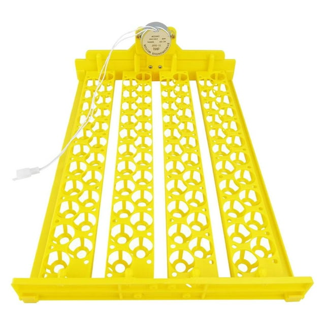 Incubadora 12 V Aves 88 Huevos Criadora Nacedora con Motor Bandeja Automática para AC 12V