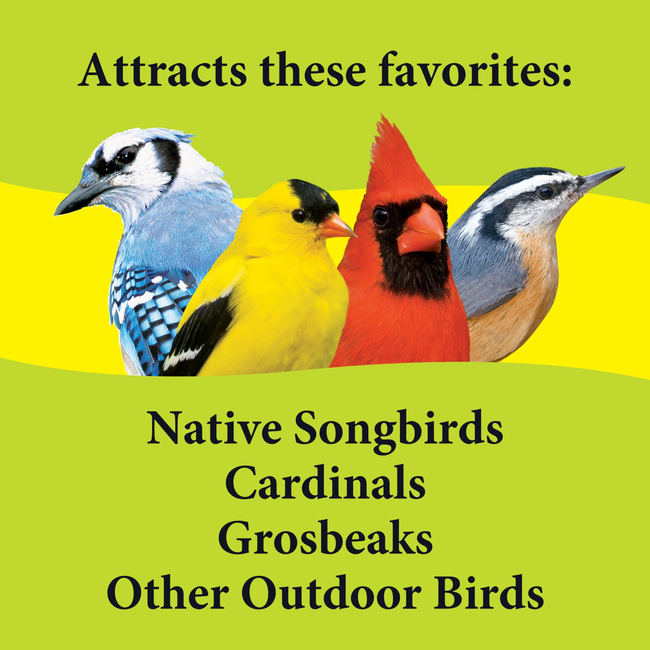 (2 pack) 3-D Pet Products Deck Porch and Patio Wild Bird Food Block, Dry, 16 oz. Block, 1 Pack