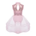 thumbnail image 2 of iiniim Kids Girls Sleeveless Mock Neck Sequins Ballet Dance Leotard Dress Latin Lyrical Jazz Costume, 2 of 7