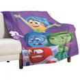 thumbnail image 1 of Manta de tela de superficie vertical súper suave de varios tamaños de Inside Out, acogedora y cálida, adecuada para cama, sofá, campamento, viajes, para todas las estaciones, liviana y compacta de 50, 1 of 8