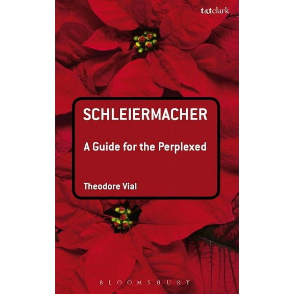 Guides for the Perplexed Schleiermacher: A Guide for the Perplexed, (Paperback)