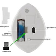Dpisuuk Wireless Mouse, Cute Hamster Shape Computer Mouse, Silent Mouse 2.4GHz 1200DPI Optical Mouse with USB Receiver, Cordless Mouse for Laptop Computer