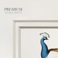 thumbnail image 4 of Standing PeacockPremium Framed Print, 4 of 5