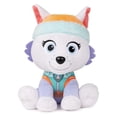 thumbnail image 3 of Paw Patrol Plush Bundle of 2, 6 inch Marshall and Everest, 3 of 3