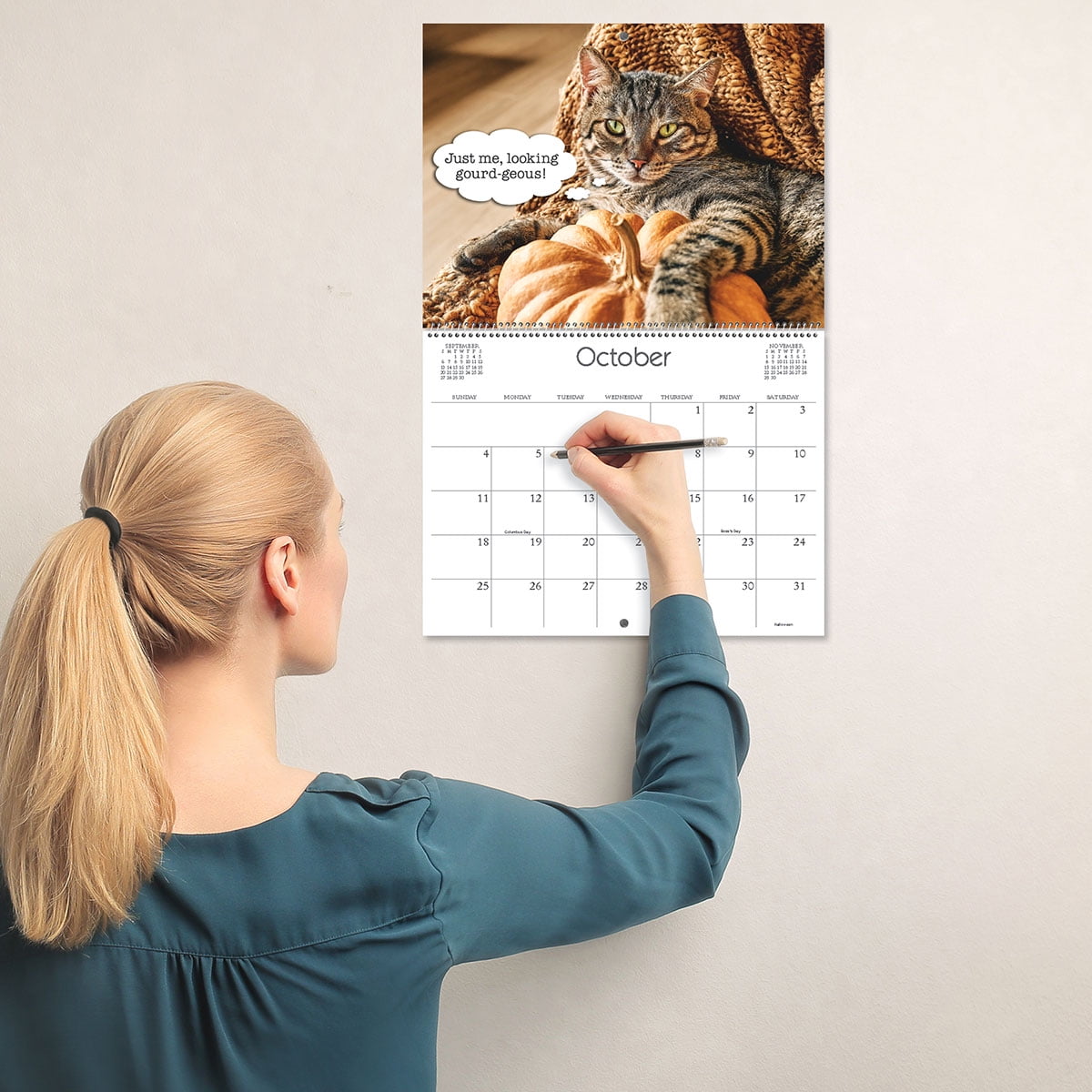 Current 2026 Cattitudes Cat 12 x 9-inch Wall Calendar, Bookstore