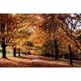 thumbnail image 3 of Hausenflock, Alan 14x11 Black Modern Framed Museum Art Print Titled - Maymont Maples II, 3 of 5