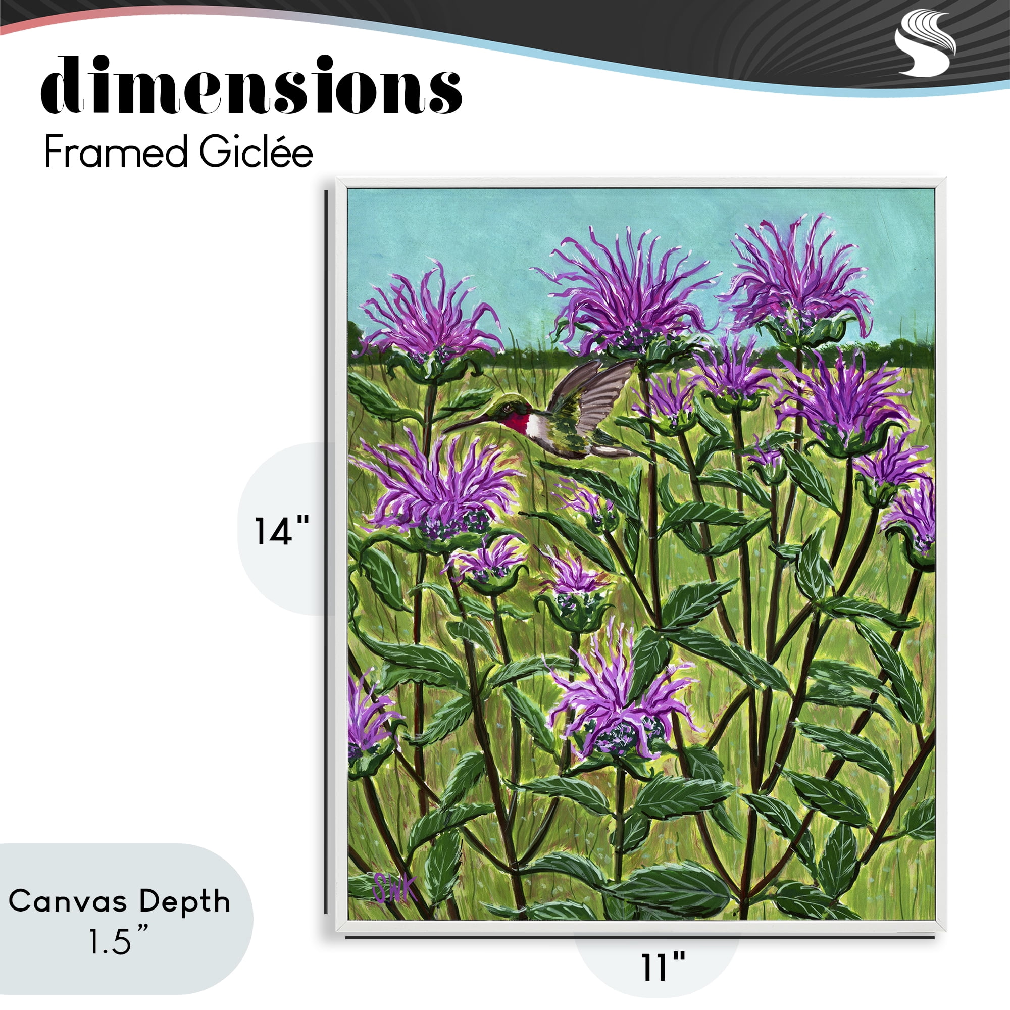 Stupell Industries Ruby Throated Hummingbird & Beebalm White Framed Giclee Art, design by Sarah Waldron Kimball