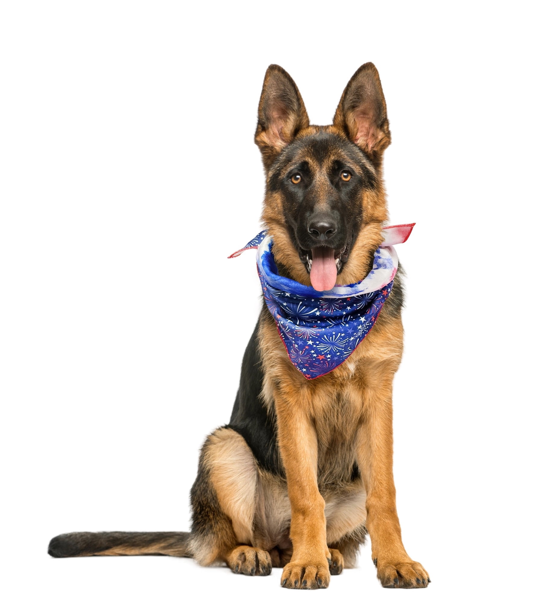 Vibrant Life 4th of July Reversible Pet Bandana, Fireworks/Tie-Dye, Medium/Large