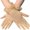 Beige, variant on Augper Women's Glove Sexy Lace Wedding Bridal Party Halloween Cosplay Lightweight Breathable Gloves