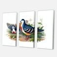 thumbnail image 3 of Designart ' Ancient Birds In The Wild IV ' Traditional Canvas Wall Art Print, 3 of 3